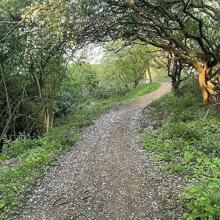 Azure House 度假居